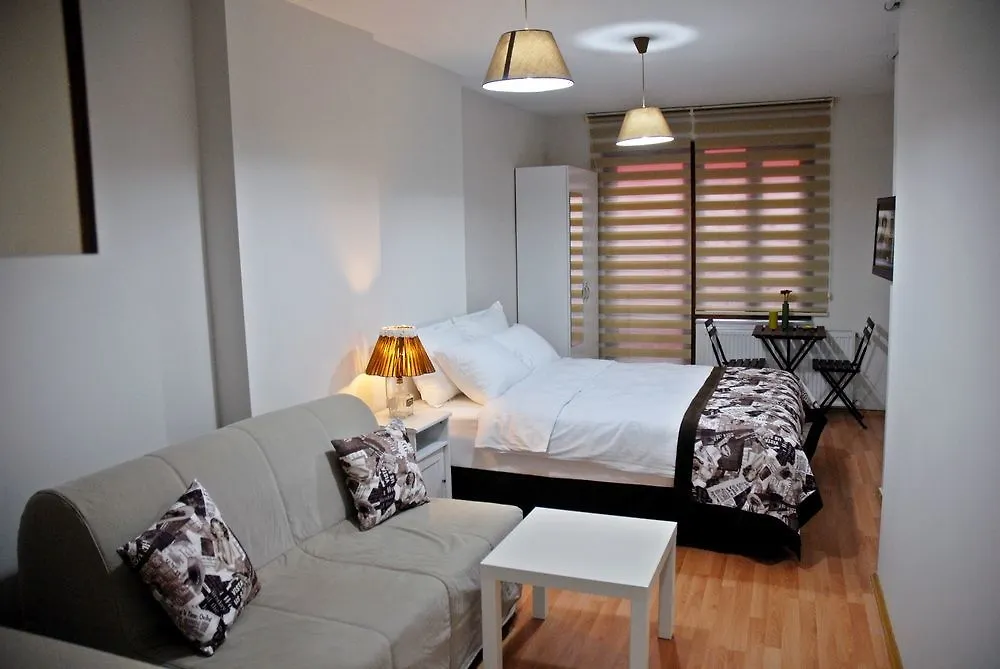 Borancik Suites イスタンブール ホテル